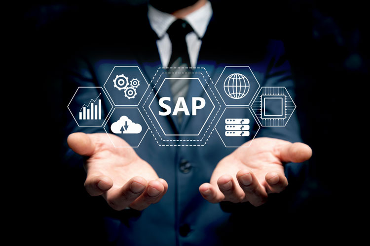 SAP consulting services